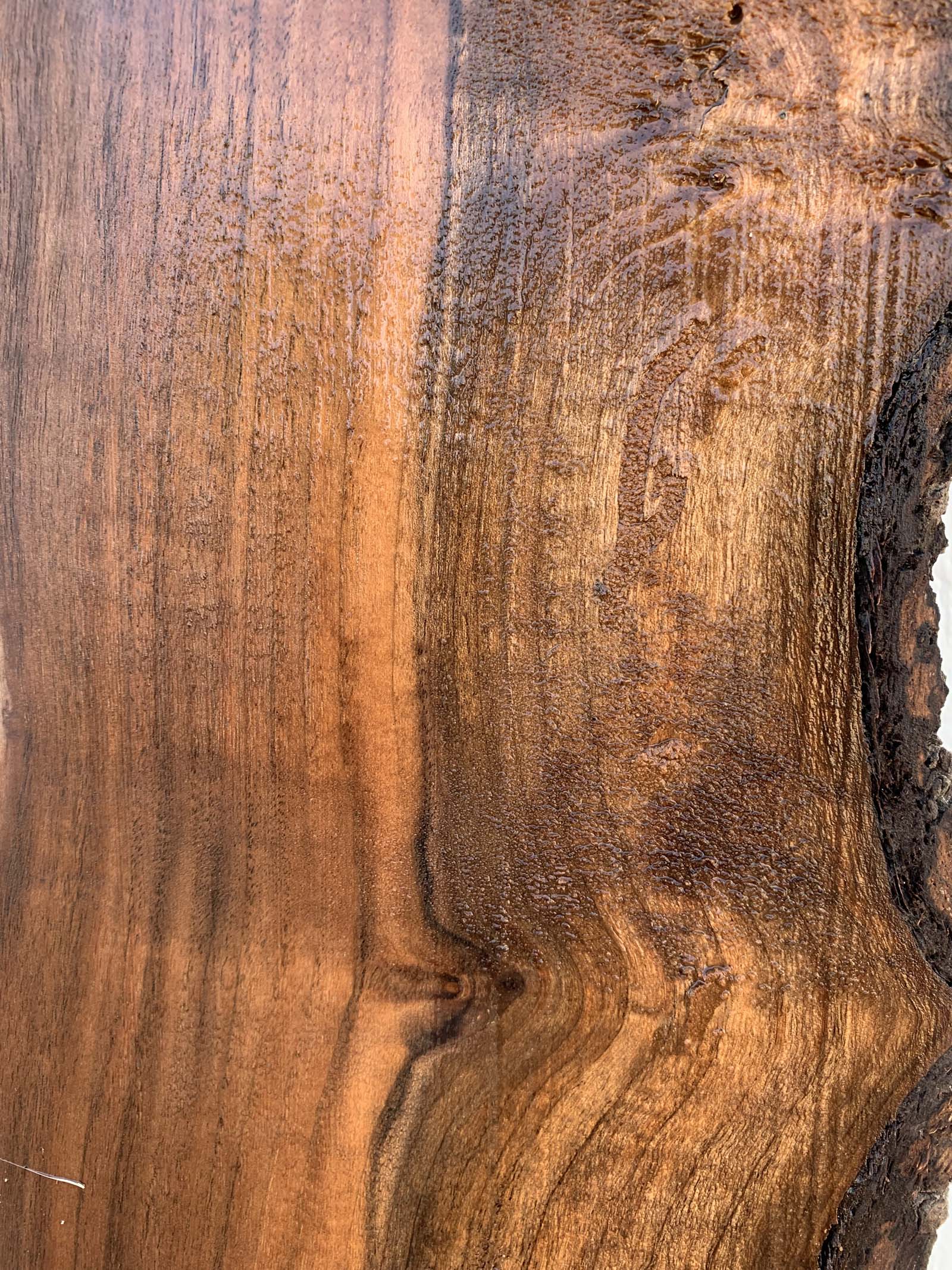 Claro Walnut Specialty Piece CLASPC345