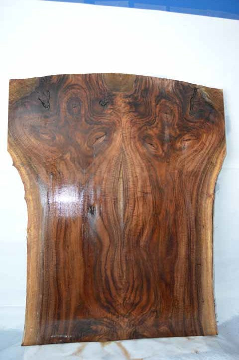 Walnut DIY Project WALDIY2