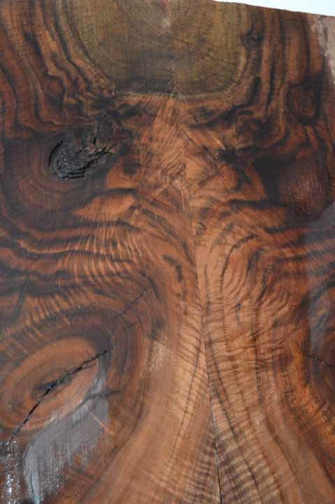 Walnut DIY Project WALDIY2
