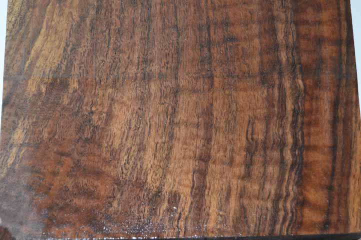 Claro Walnut Tonewood WALSPC189