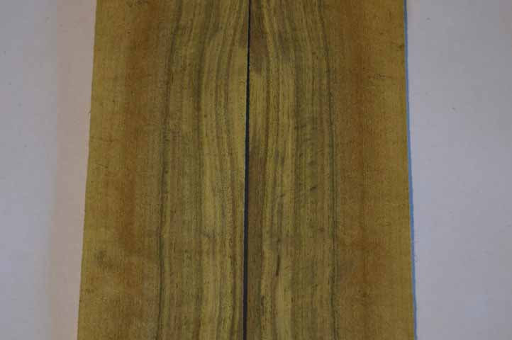 Claro Walnut Tonewood WALTON9