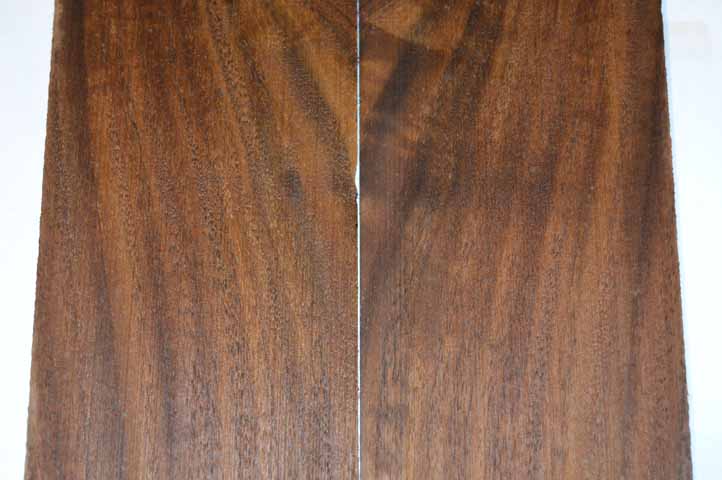 Claro Walnut Tonewood WALTON10