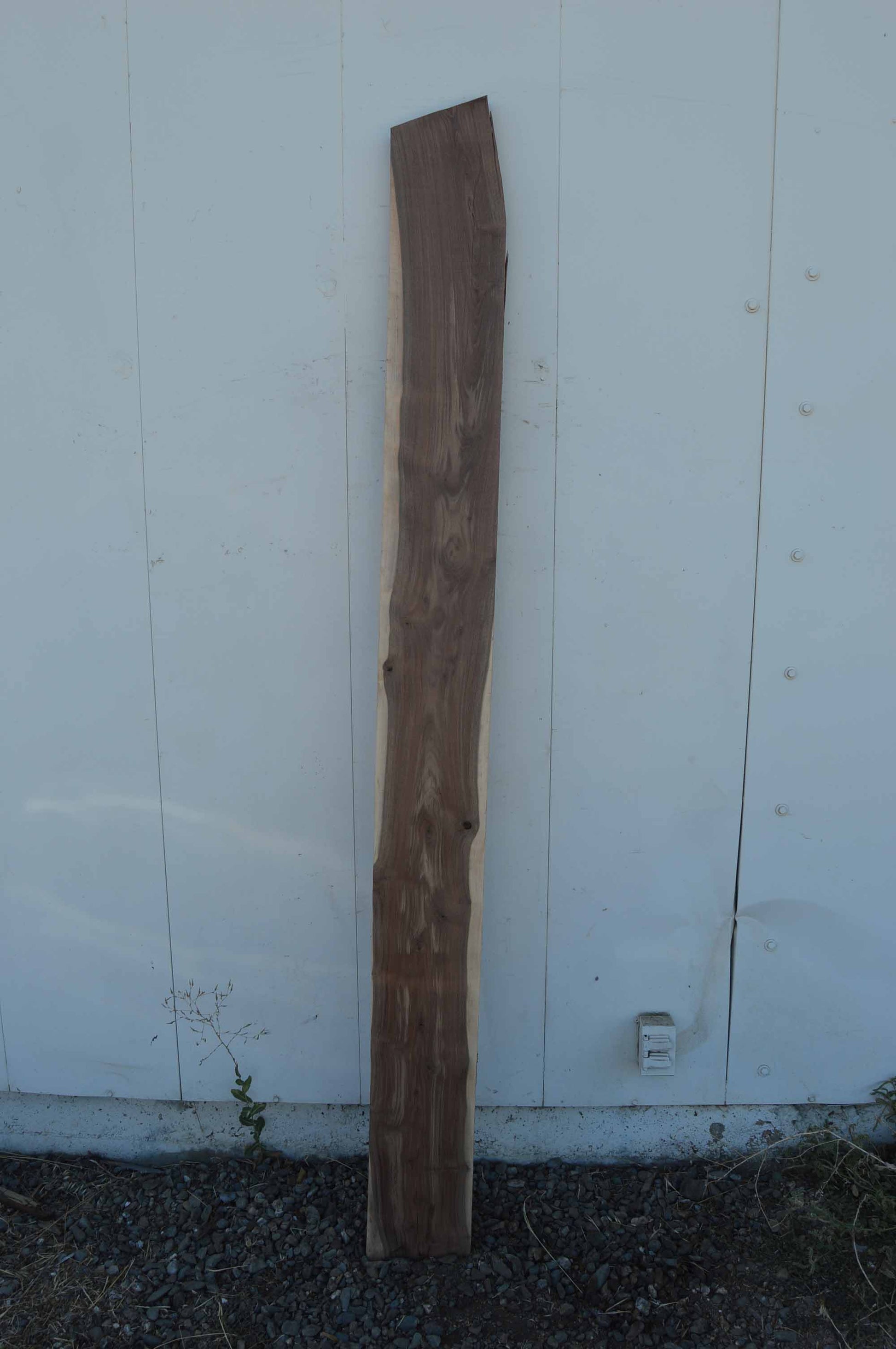Amazing Figure Rustic Shelf Furniture Wonderful Color Walnut Lumber WALLMB104