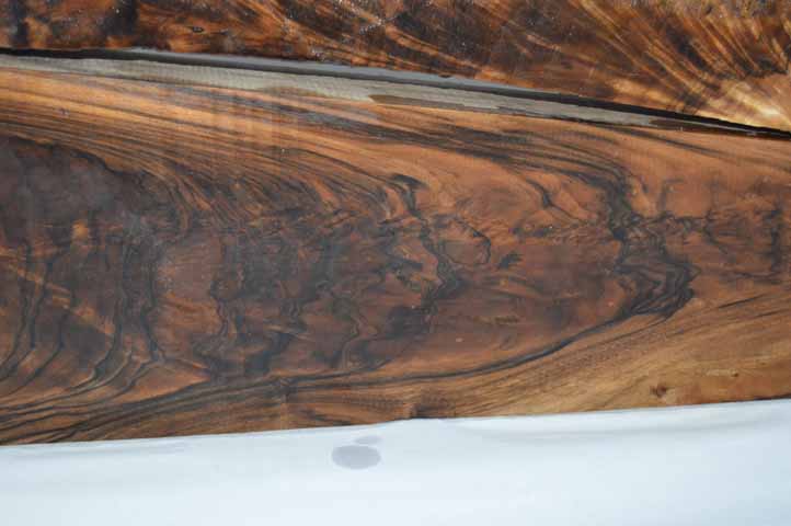 English Gunstock ENGGUN6