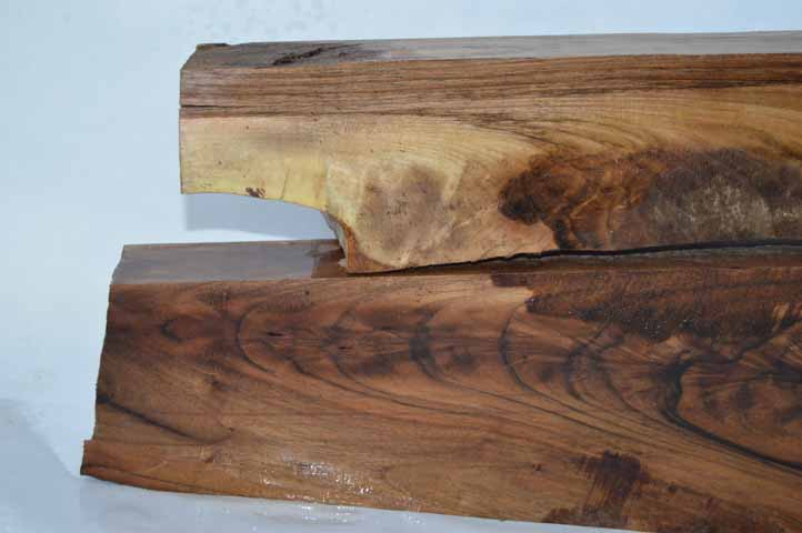 English Gunstock ENGGUN6