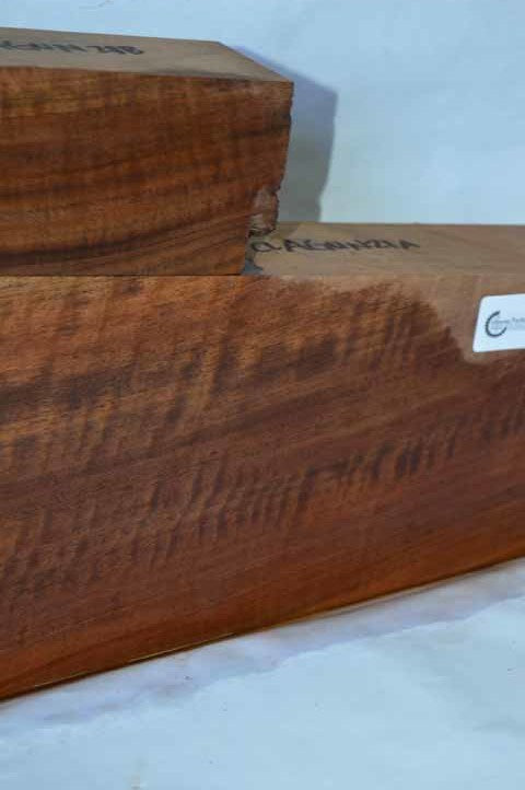 Claro Walnut Gunstock CLAGUN21