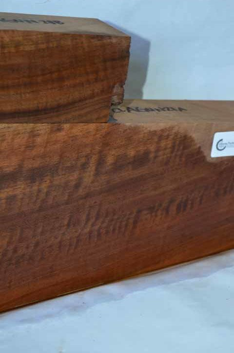 Claro Walnut Gunstock CLAGUN21