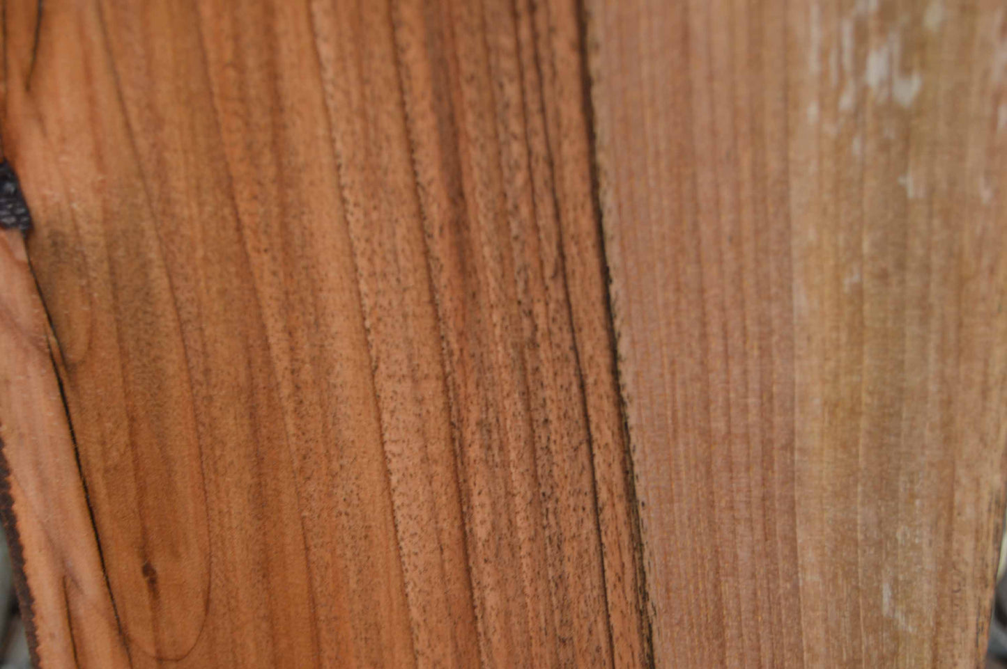 English Walnut Board WALSPC589