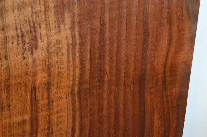 Claro Walnut Tonewood WALTON13