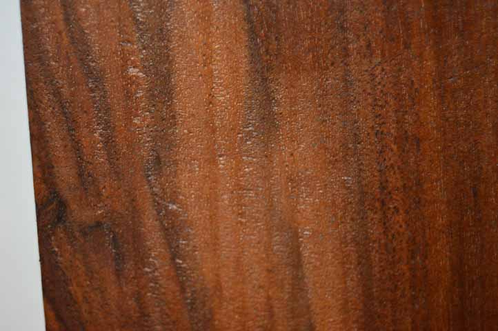 Claro Walnut Tonewood WALTON17