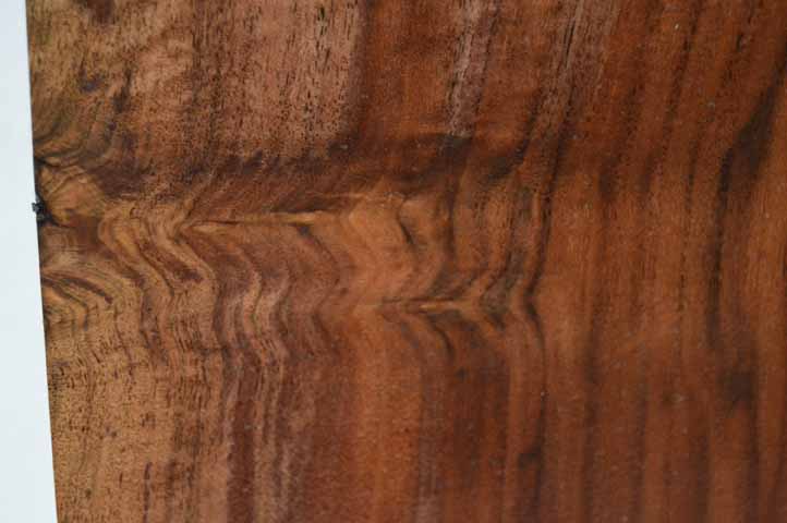 Claro Walnut Tonewood WALTON18