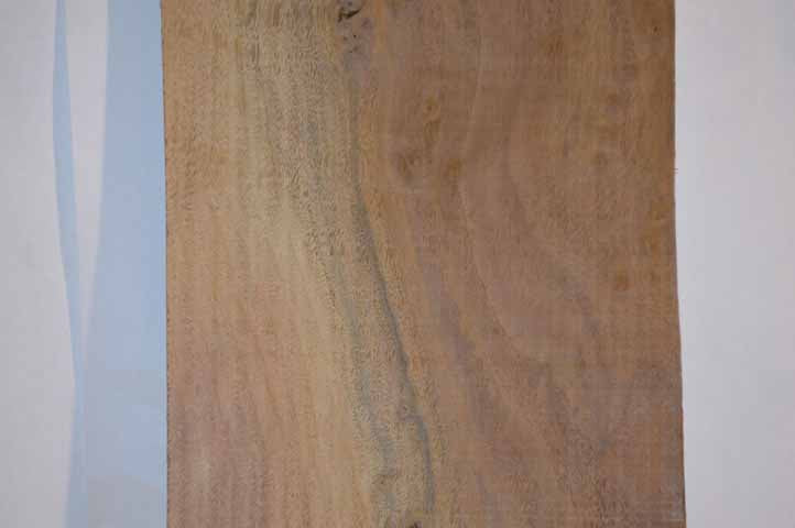 Claro Walnut Tonewood WALTON28