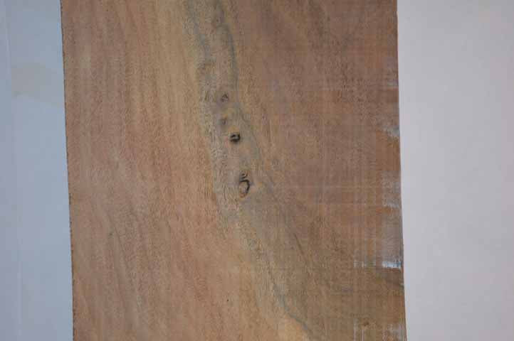 Claro Walnut Tonewood WALTON28
