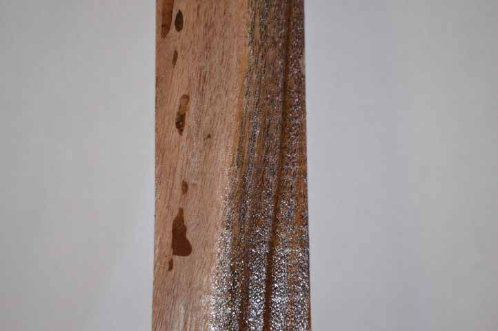 Walnut Turning Blank WALTUR36