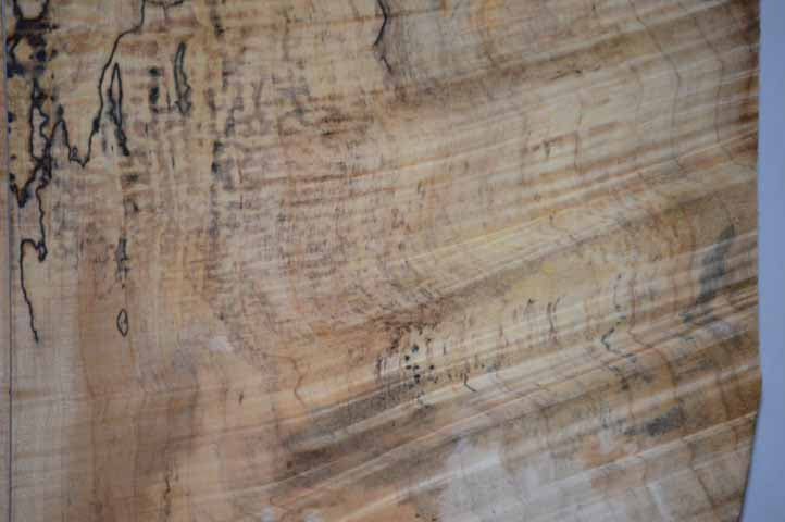 Maple Tonewood MAPTON1