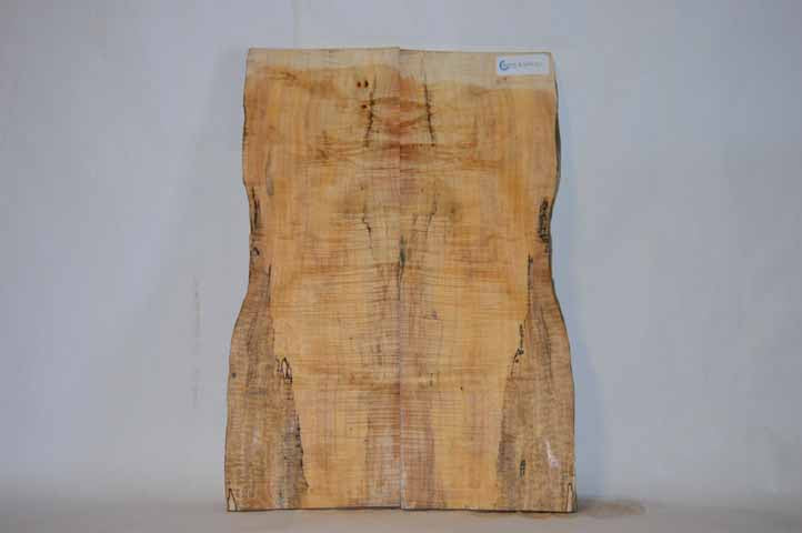 Maple Tonewood MAPTON2