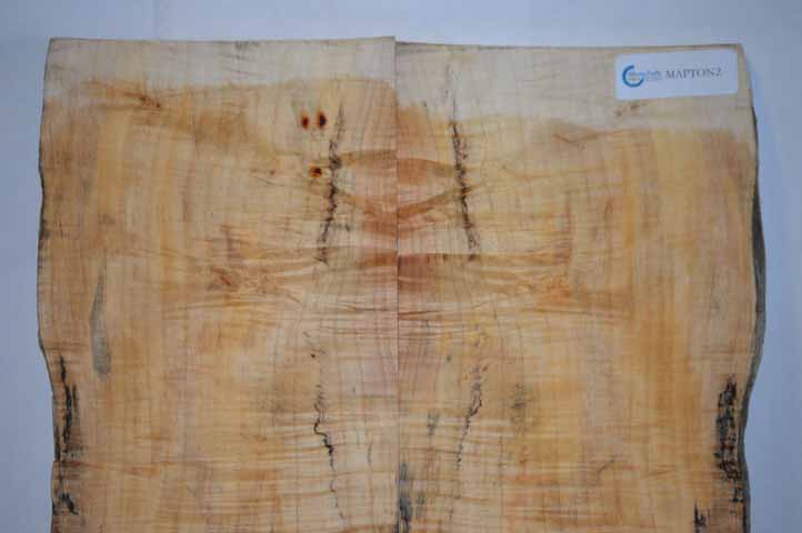 Maple Tonewood MAPTON2