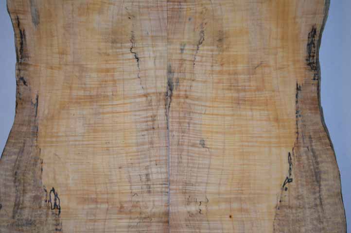 Maple Tonewood MAPTON2