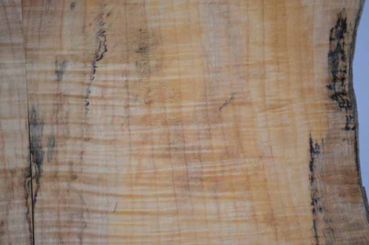 Maple Tonewood MAPTON2