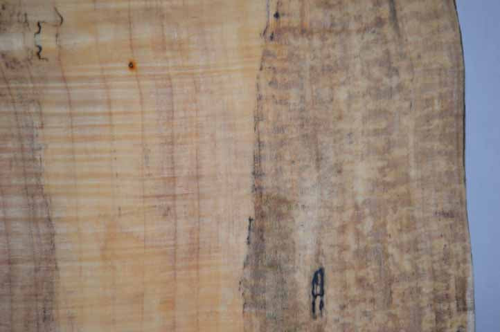 Maple Tonewood MAPTON2