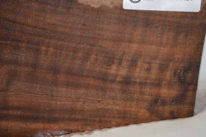 Claro Walnut Gunstock CLAGUN24