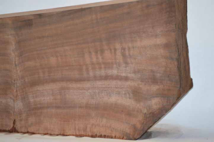 Claro Walnut Gunstock CLAGUN24