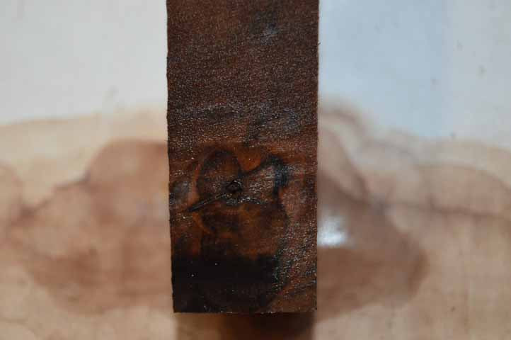 Walnut Turning Blank WALTUR46