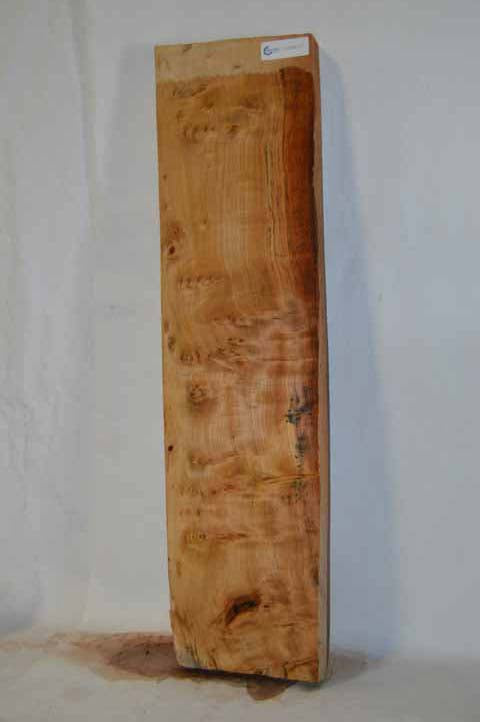 Cottonwood Board COTSPC17