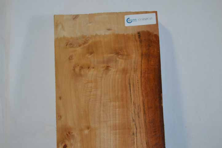 Cottonwood Board COTSPC17