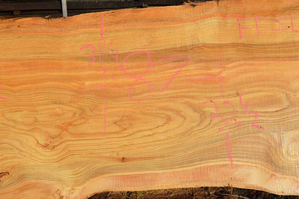 Cedar Slab CEDSLB12A