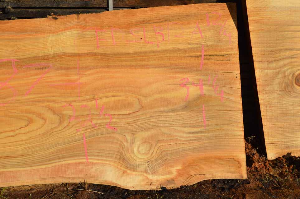 Cedar Slab CEDSLB12A