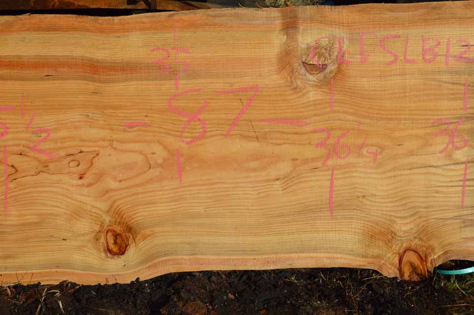 Cedar Slab CEDSLB12B