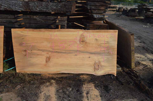 Cedar Slab CEDSLB12C