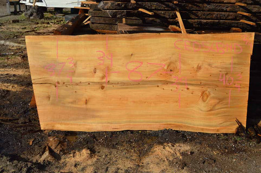 Cedar Slab CEDSLB12D