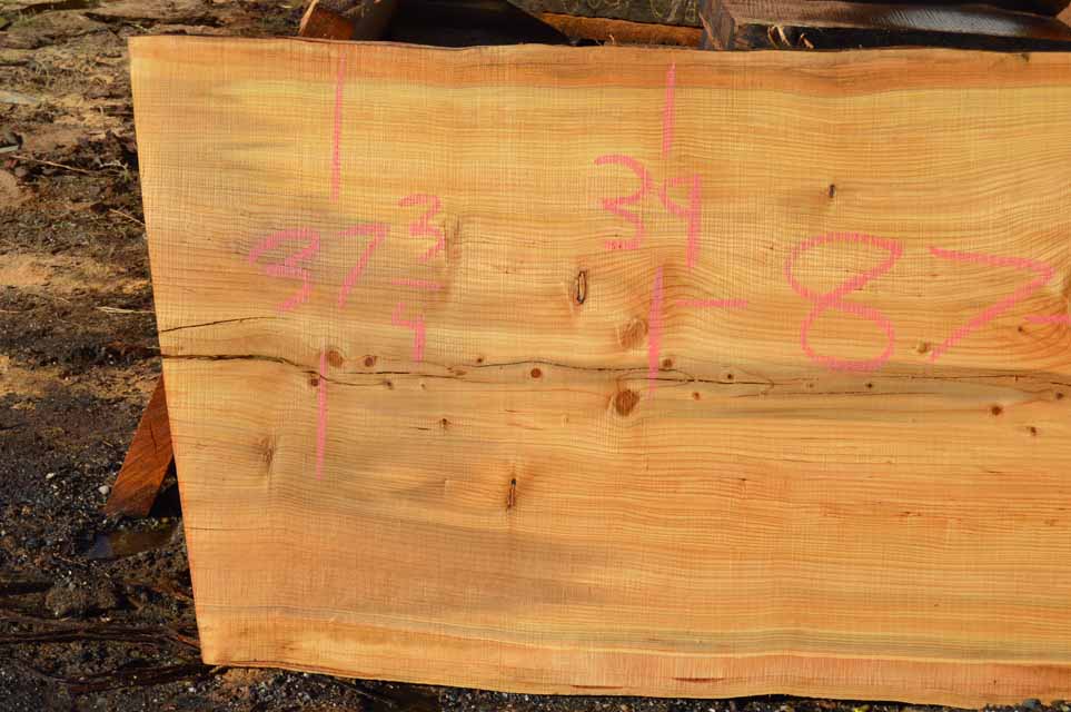 Cedar Slab CEDSLB12D