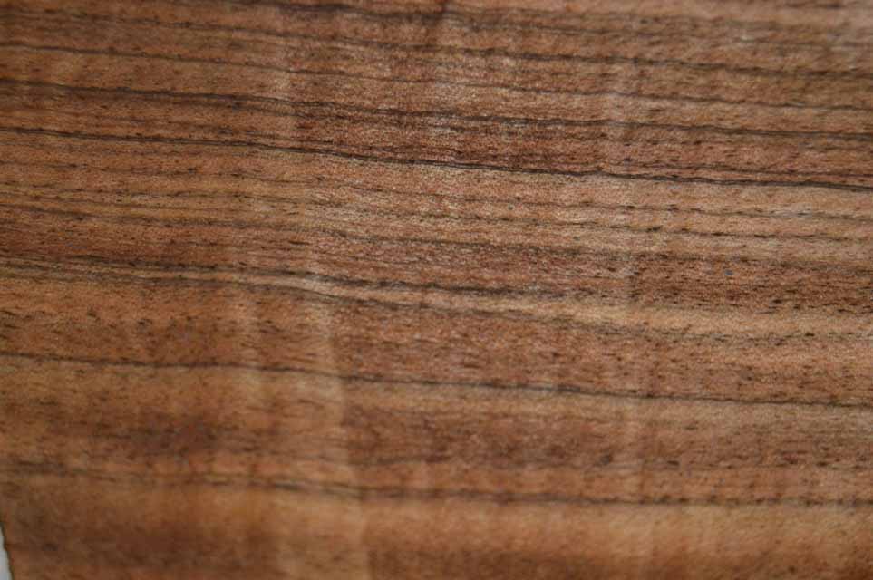 English Walnut Gunstock Blanks ENGGUN61