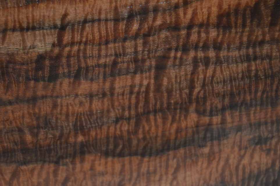 Claro Walnut Gunstock CLAGUN43