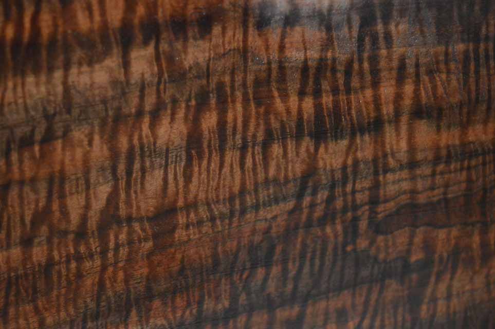Claro Walnut Gunstock CLAGUN43