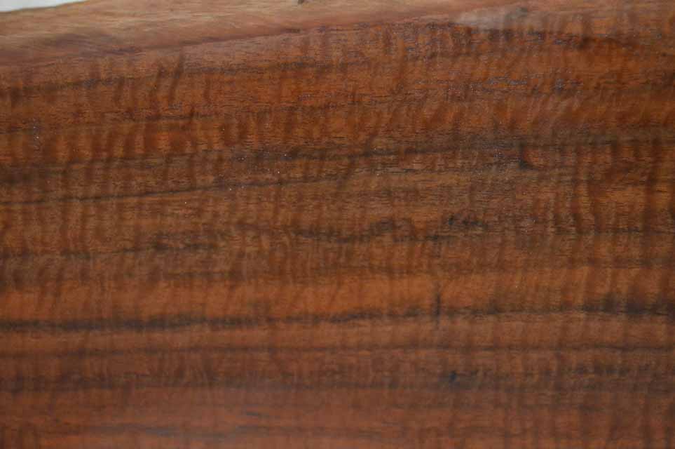 Claro Walnut Gunstock CLAGUN44