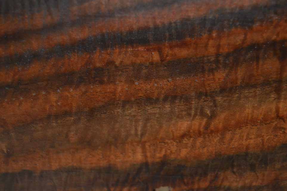 Claro Walnut Gunstock CLAGUN46