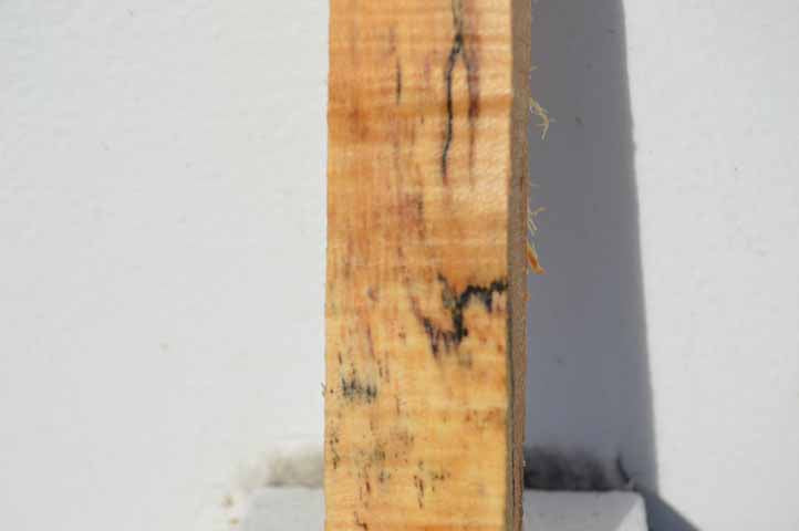 Maple Turning Blank MAPTUR1