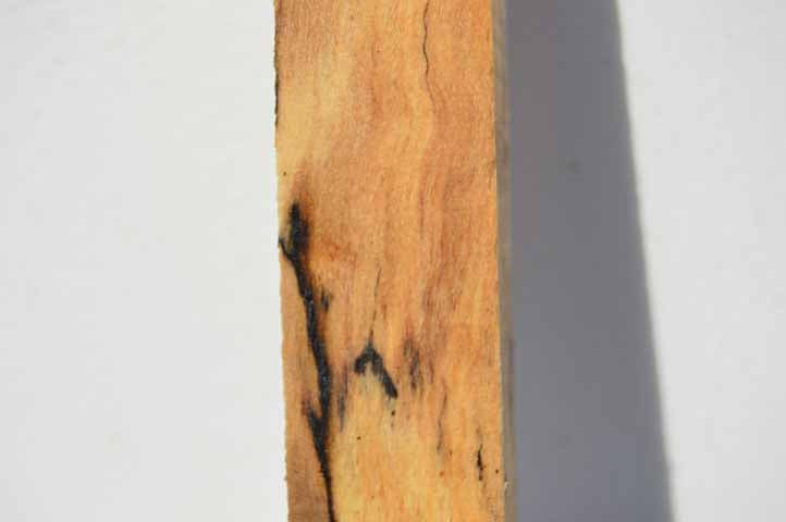 Maple Turning Blank MAPTUR1