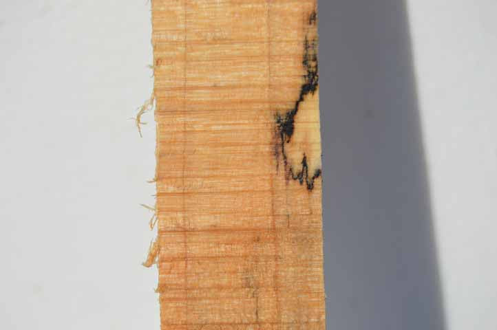 Maple Turning Blank MAPTUR1
