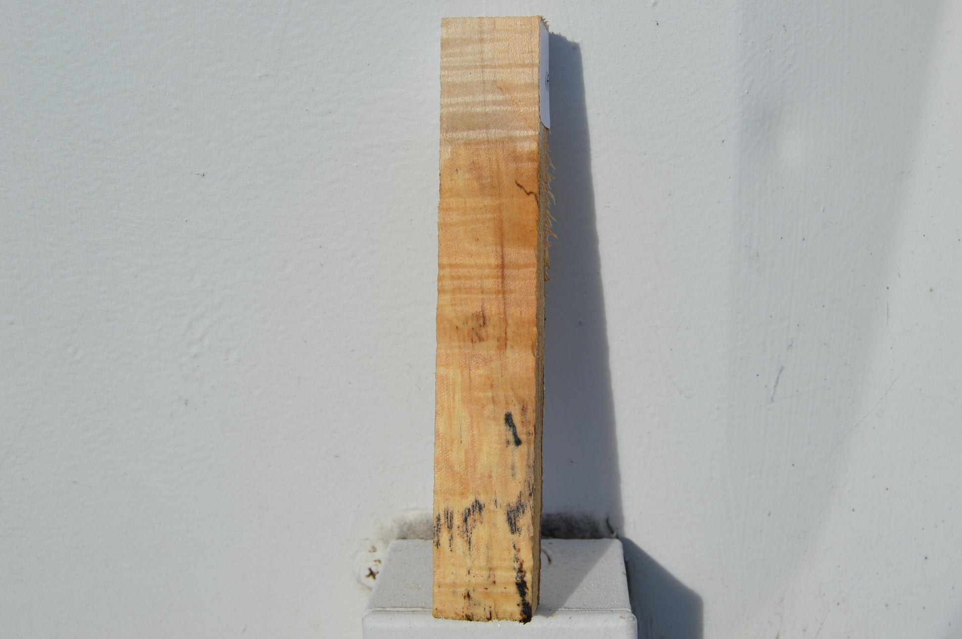 Maple Turning Blank MAPTUR2