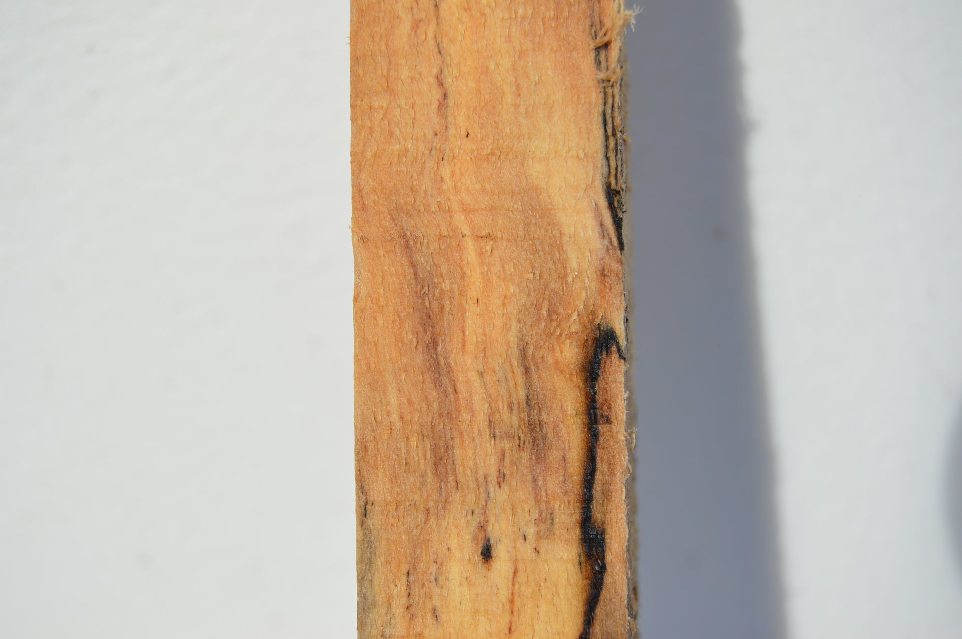 Maple Turning Blank MAPTUR2