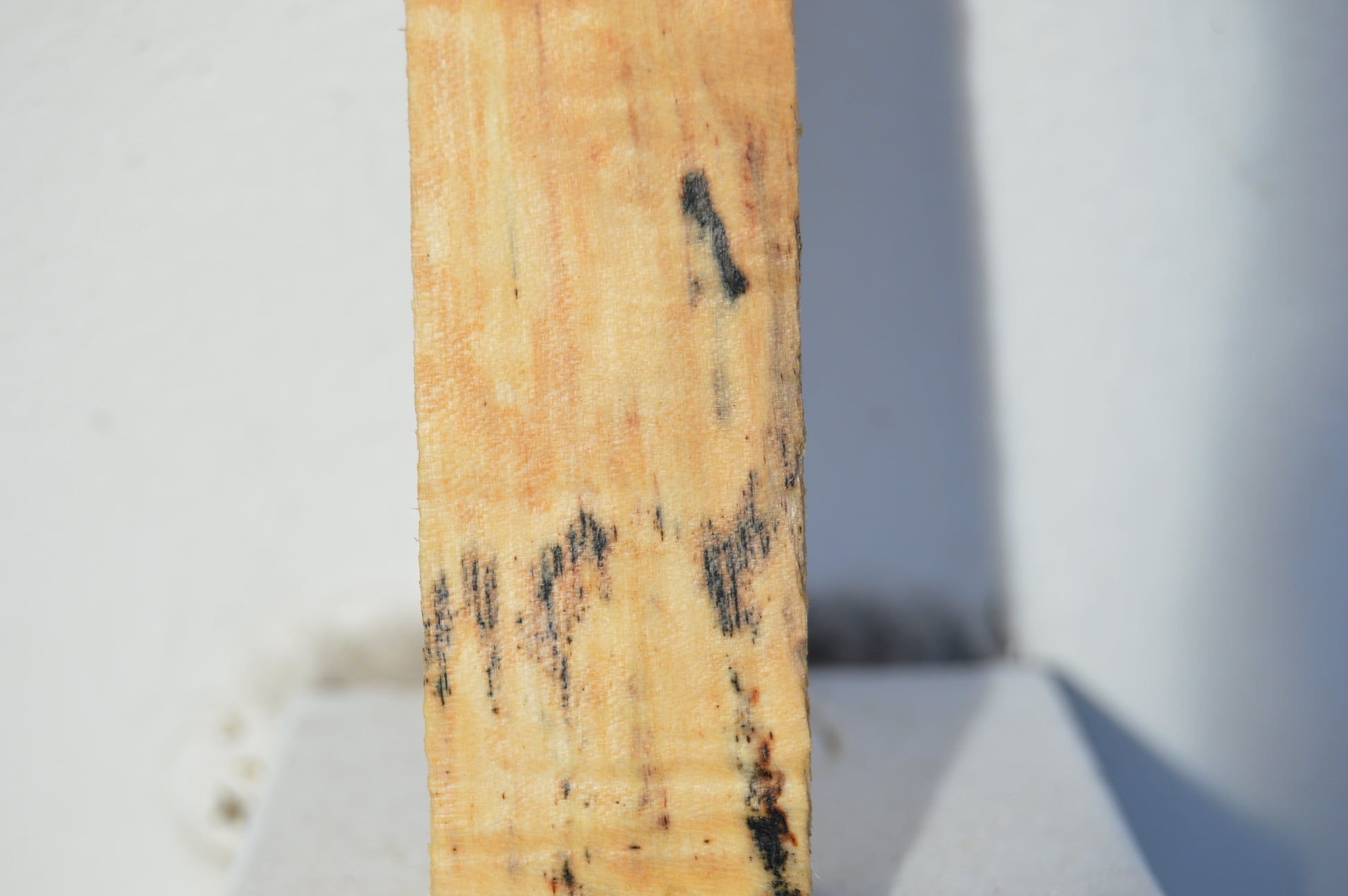 Maple Turning Blank MAPTUR2