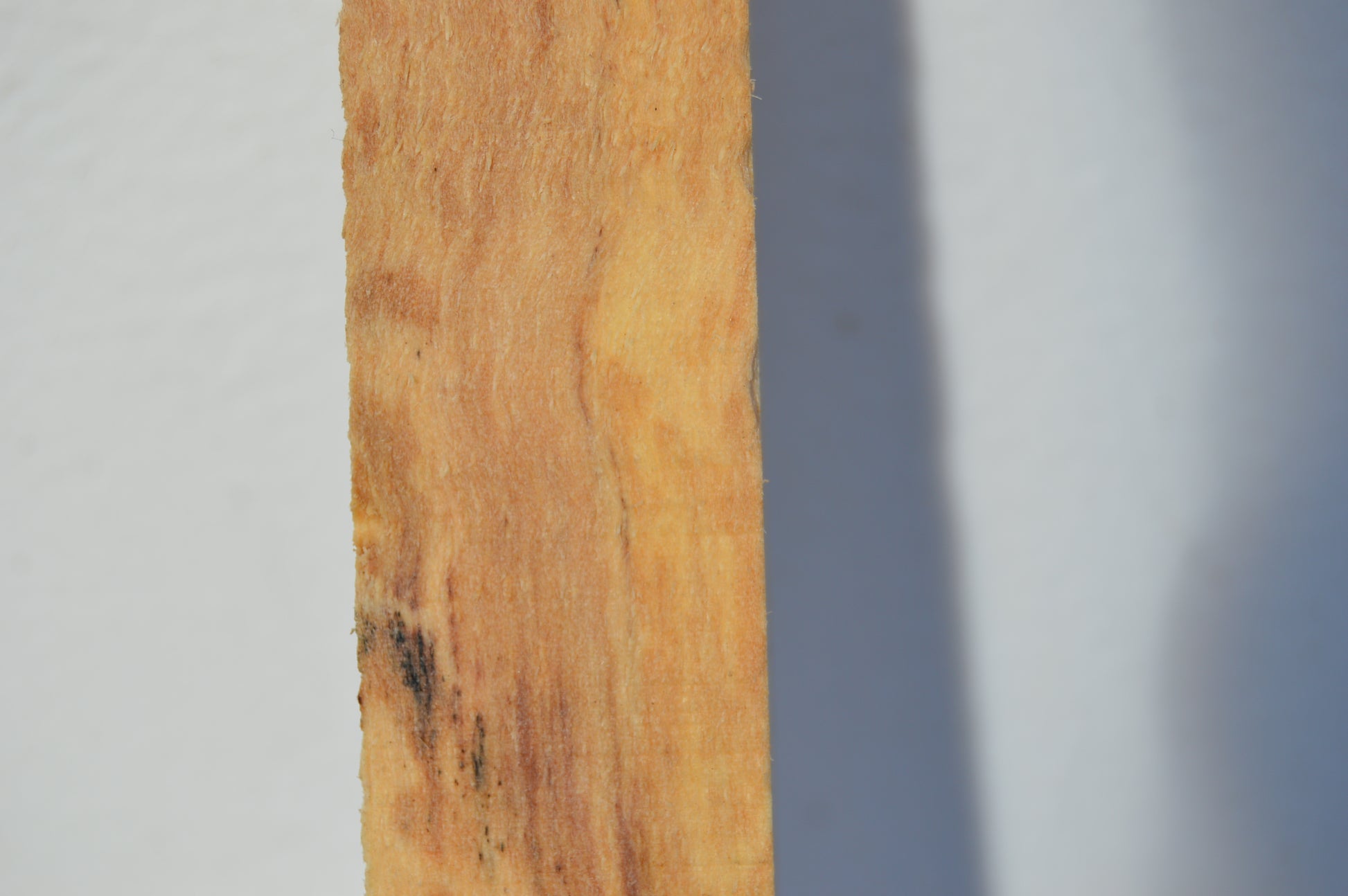 Maple Turning Blank MAPTUR2