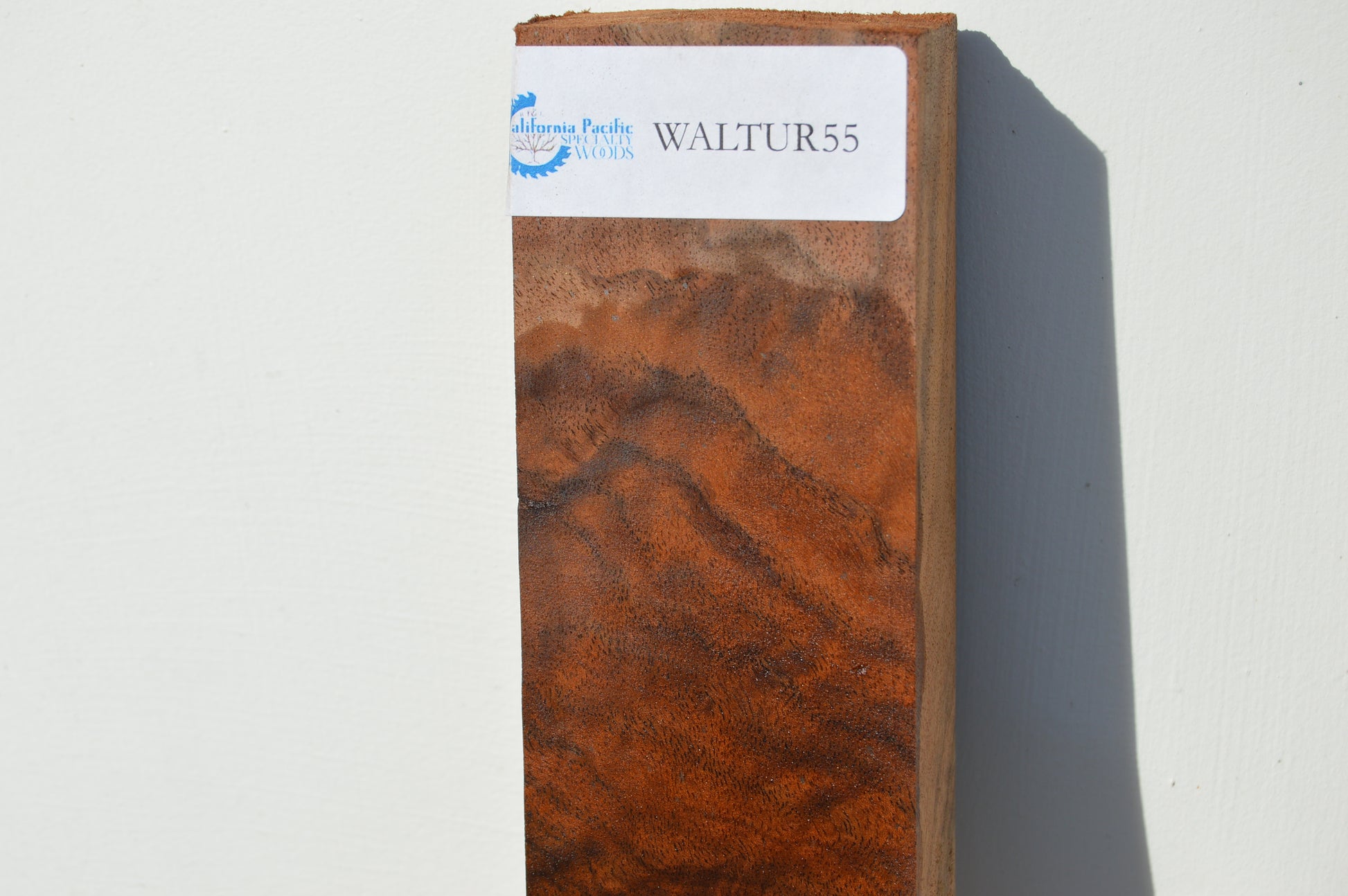 Walnut Turning Blank WALTUR55