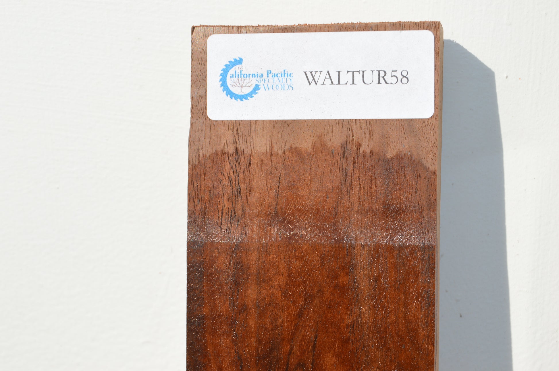 Walnut Turning Blank WALTUR58