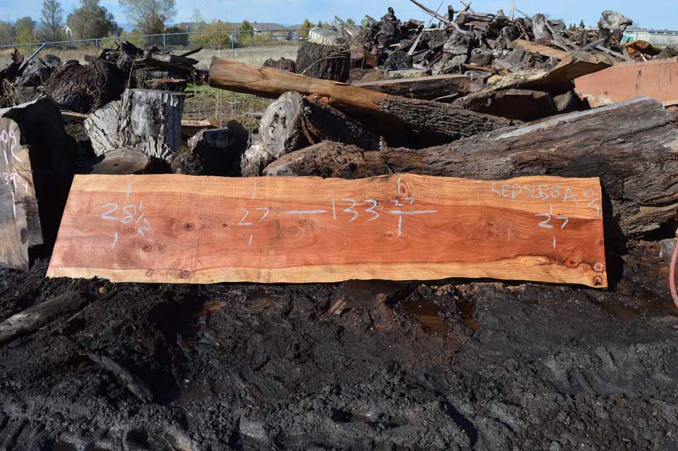Redwood Slab REDSLB8A